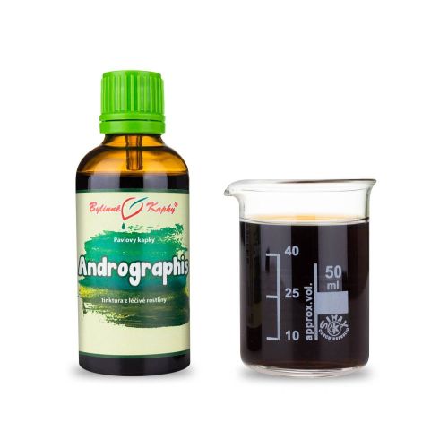 Bylinné kapky Andrographis 50ml 40%